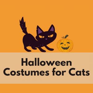 Cat Halloween Costumes