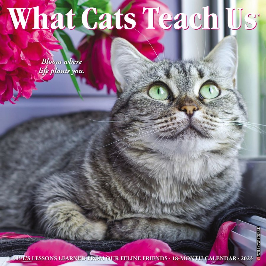 What Cats Teach Us Wall Calendar 2023 – One Spoiled Kitty Inc